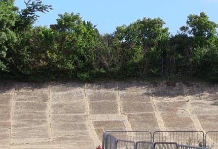 Brooklands Track